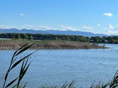 -野鸭湖国家湿地公园