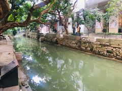 -小洲村