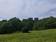 -长白岛森林公园