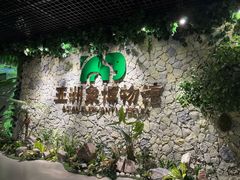 -野象谷景区