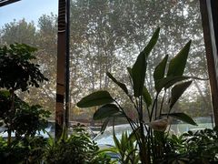 -大连铂尔曼酒店-铂尔曼美食廊 Pullman Deli