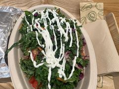 -油梨树 AVOCADO TREE(亮马桥店)
