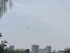 -迎泽公园