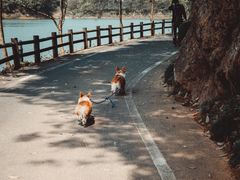 -千岛湖龙川湾