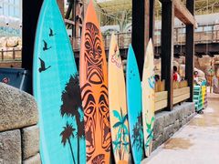 -杭州开元森泊度假乐园