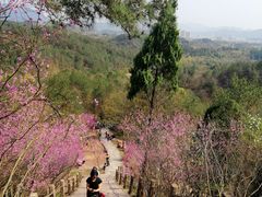 -天台山赤城山景区