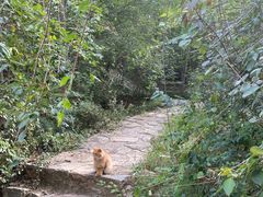 -北京西山国家森林公园