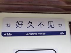 -关山草原