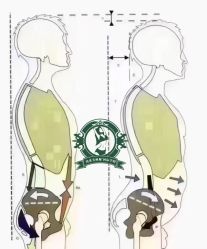 -归位瑜伽＆普拉提馆