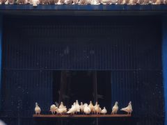 -青城公园
