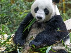 -广州长隆野生动物世界