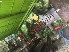-绿光森林餐厅