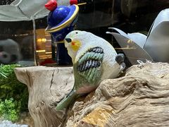 -红辣椒·川菜·火锅(大洋中心店)