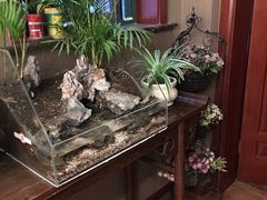 -莱蔻·圣灸堂·推拿艾灸(天山店)