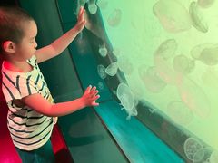 -沈阳海洋探索中心