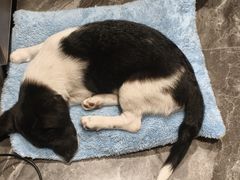 -懒鹿智能电竞酒店(蜀汉路店)