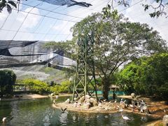 -吉隆坡雀鸟公园