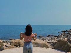 -广东惠东海龟国家级自然保护区