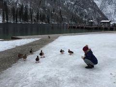 -柯尼希湖