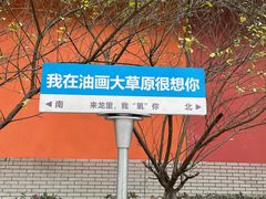 -龙里油画大草原旅游区