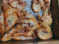 -烟台金海岸希尔顿酒店·開自助餐厅
