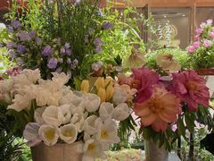 -二酉书店TOYOU BOOKS