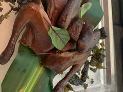 -绿茶餐厅(成都大悦城店)