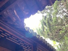 -枫泾古镇-人民公社旧址