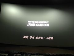-万达影城 太原龙湖激光IMAX万达广场店(解放路店)