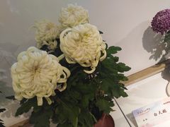 -汇龙潭