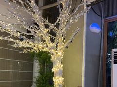 -乔街深夜食堂·台州菜·高压锅生蚝(杭州总店)
