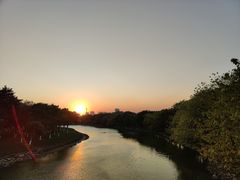 -海珠湖公园