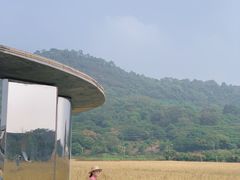 -风云岭森林公园