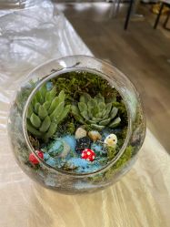 -宝生月子中心·独栋独院式(南山店)