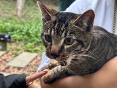 -阳澄湖半岛旅游度假区
