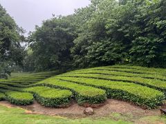 -敬亭山风景名胜区