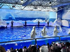 -秦皇岛乐岛海洋王国