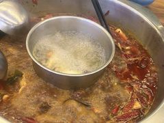 -金鼎雪山牦牛杂火锅(理县总店)