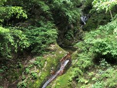 -牛背梁国家森林公园