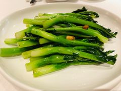广东菜心-东富酒家(龙湖西溪天街店)