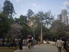 -景田北六街公园宠物主题园
