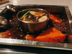 -杨肥肠小火锅(新桥店)