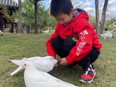 -董永七仙女文化园