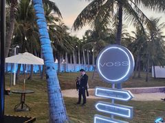 -欢乐海岸椰林沙滩-2025湾区超级灯会