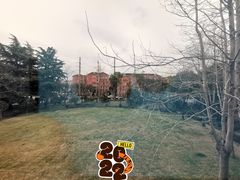 -上海神旺大酒店