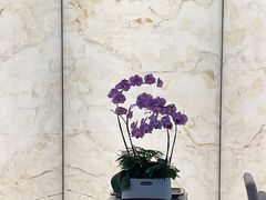 -广州塔卢特斯法国旋转餐厅