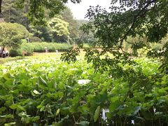 -韶山毛泽东同志故居