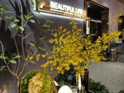 -花隐·美芙炫海菲秀皮肤管理中心