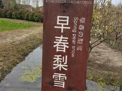 -长田漾湿地公园