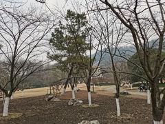 -九曜山